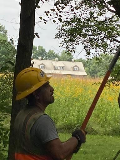 All Photos for Village Tree Service  in Whitestown, IN