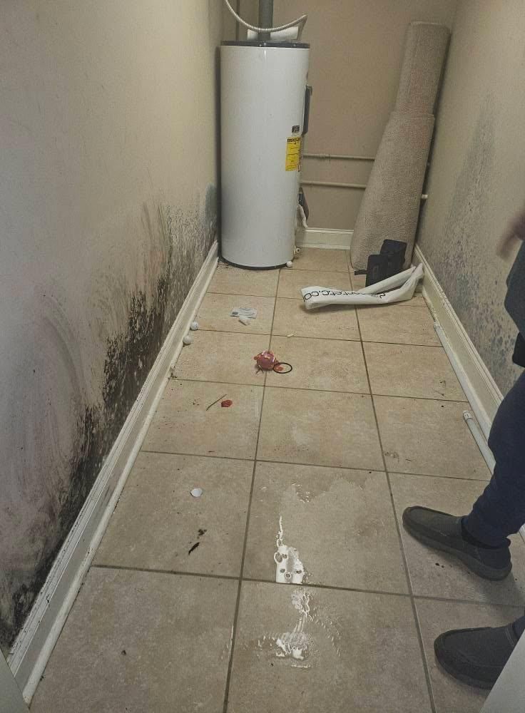 Painting for Struc•ture Development in Phenix City, AL