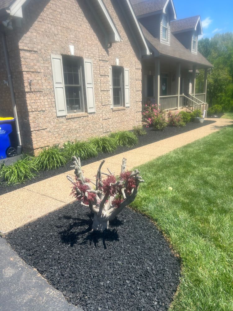 All Photos for Optimum Tree Service And Landscaping in Bowling Green, KY