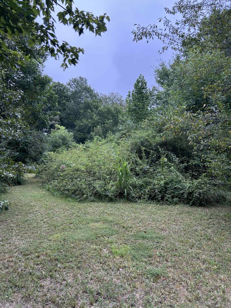 All Photos for Z's Land Management & Forestry Mulching in Smithville, TN