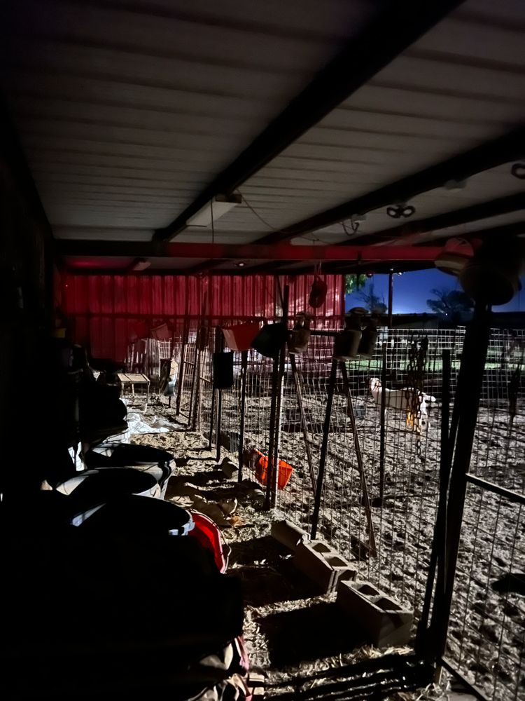 Lighting Installs for LUX Electric in Floresville, TX