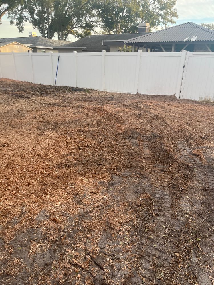 All Photos for Busy Beaver Stump Removal, Inc in Clearwater, FL