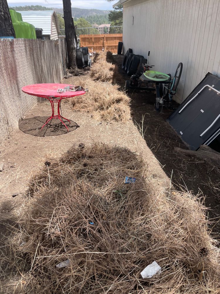 Our pine needle clean up service removes fallen needles, reduces fire risk, improves curb appeal, and keeps your landscape healthy, tidy, and easier to maintain throughout every season with dependable local care. for G&B Yard Service in Ruidoso Downs, NM