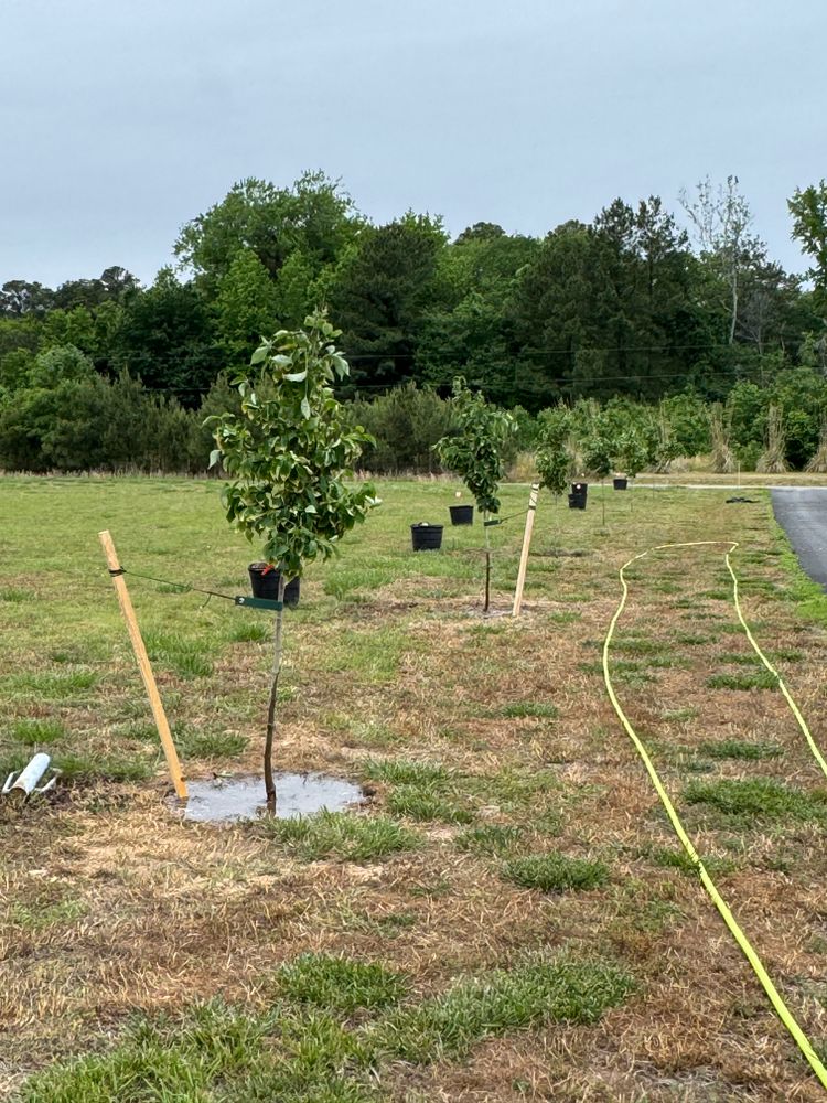 All Photos for The Whole 9 Yards Landscape VA in Heathsville, VA