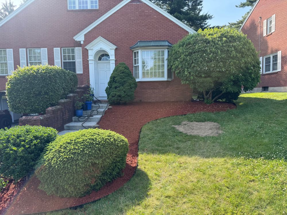 Our Tree & Shrub Care service enhances your landscape's health and beauty, offering expert pruning, disease management, and customized care plans to ensure robust growth and vibrant greenery for your outdoor space. for Katinas Property Maintenance in Clifton Park, NY