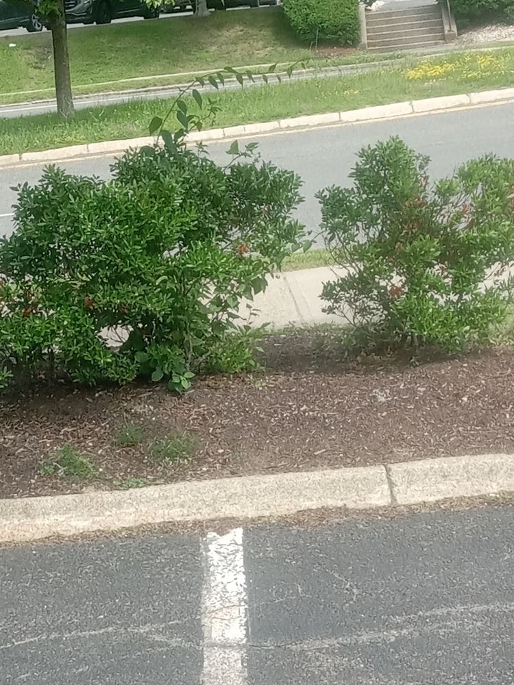 All Photos for K Brown's Property Maintenance in Pittsfield, MA