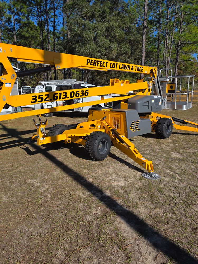 All Photos for Perfect Cut Lawn & Tree Care in Citrus County, FL