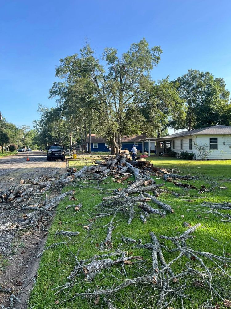 All Photos for JC Land and Tree Service in Kilgore, TX