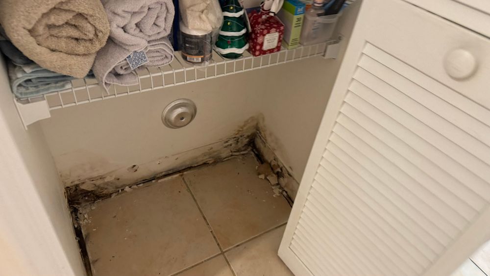 Water Damage Claims for Surplus Public Adjusters in Miami-Dade County, FL