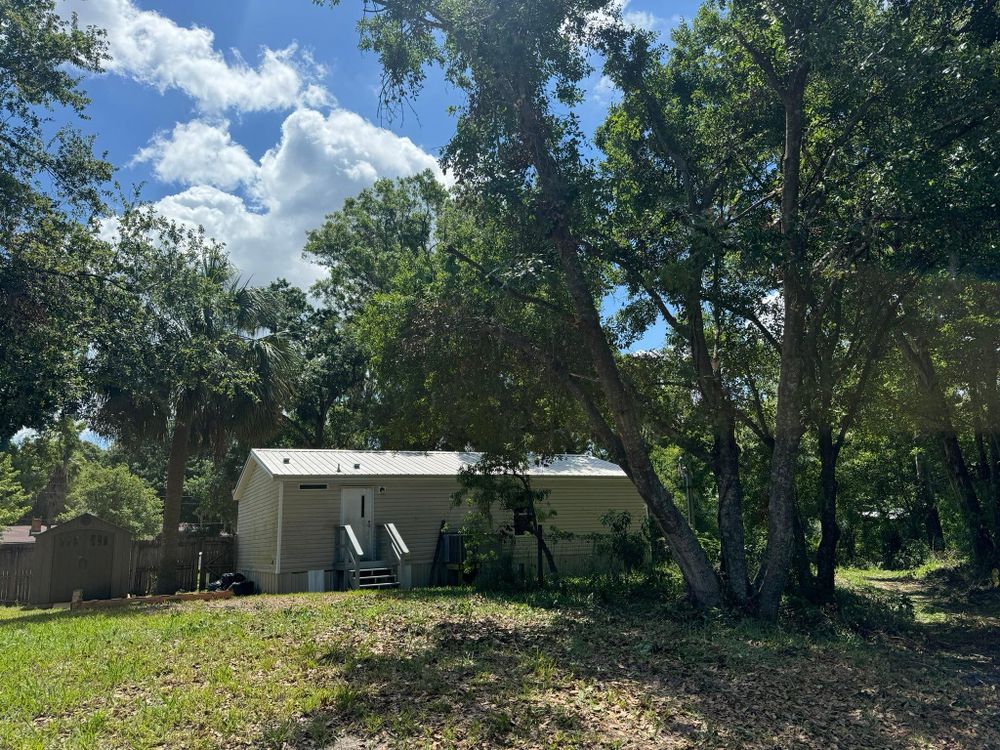 All Photos for Native Land Management in Lakeland, FL