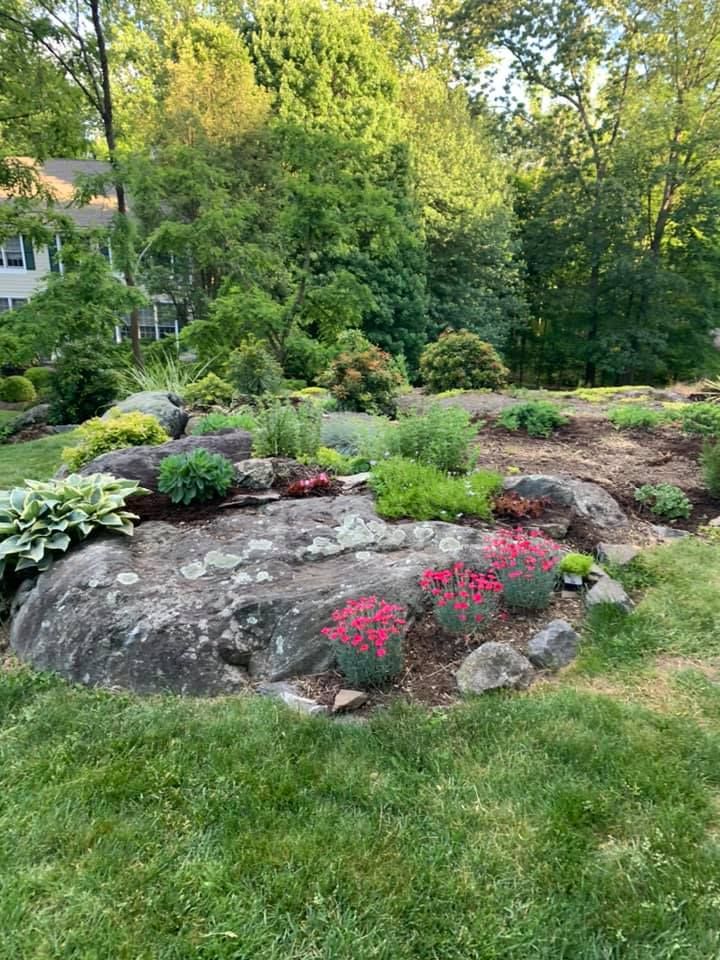 Lawn Care for Ovidio's Landscaping in Westchester County, NY