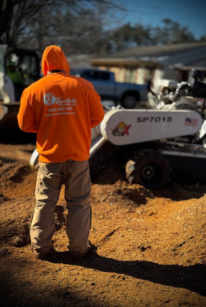 Enhance your landscape with our efficient stump removal service, ensuring safety and aesthetic appeal by eliminating unsightly stumps from your yard, promoting healthy growth and enhancing property value. for Hamlett Tree Service LLC in Clover, VA