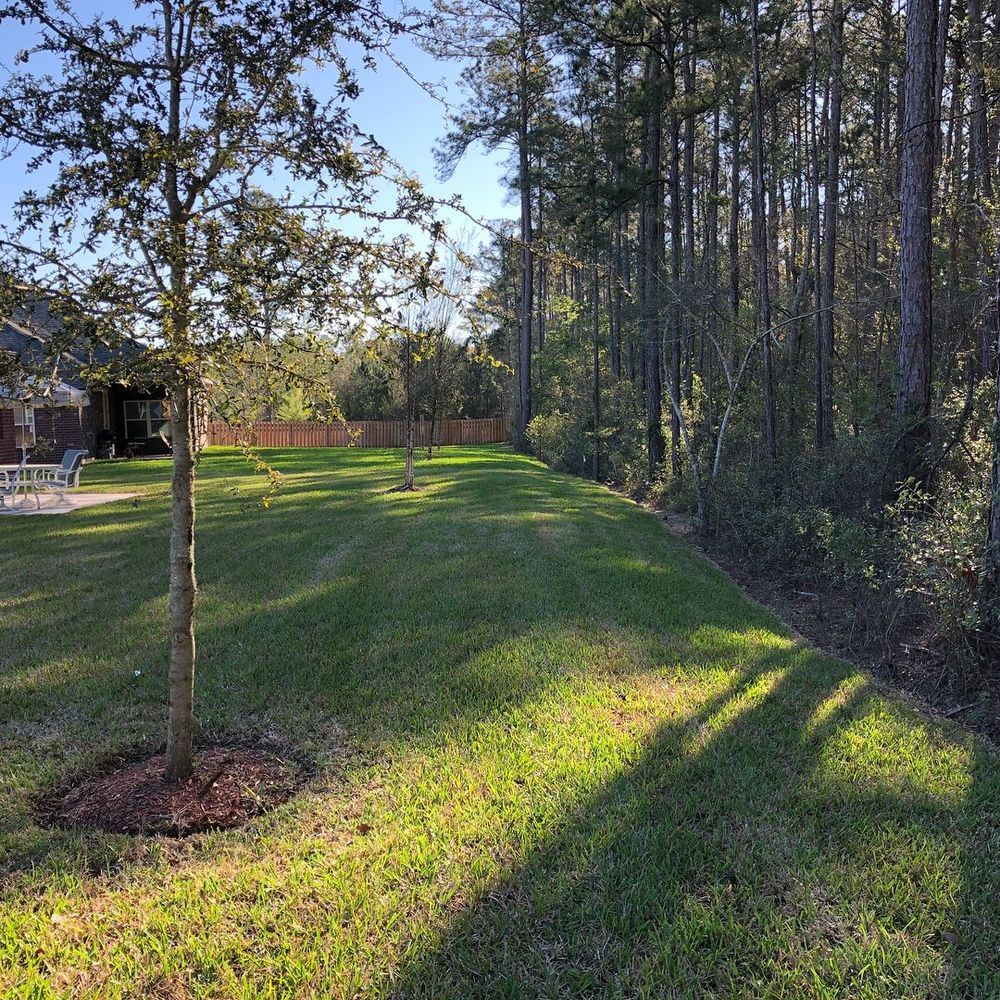 Lawn Care and Landscaping for River City Elite Contractors in Jacksonville, FL