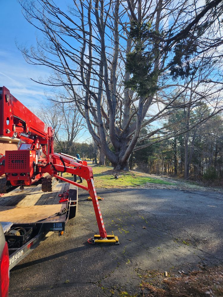 All Photos for Smith Tree Experts in Palmyra, VA