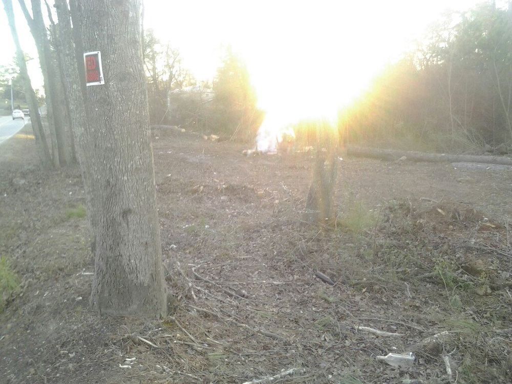 Tree Services for Wofford's Grading Clearing and Landscaping in Milton, GA