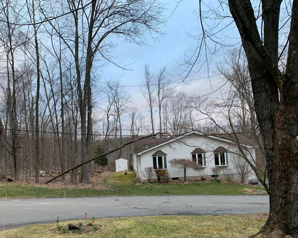 All Photos for All American Tree Services LLC in Dallas, PA