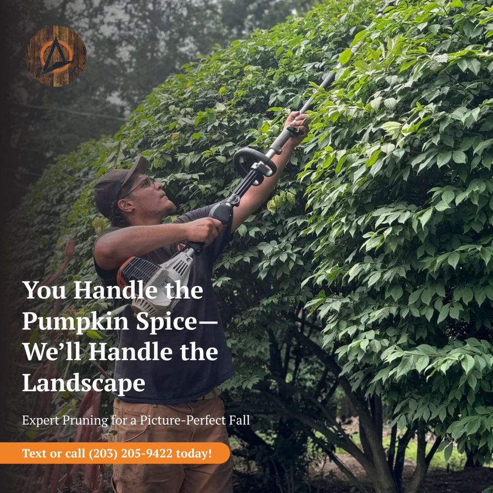 All Photos for Ace Landscaping in Trumbull, CT