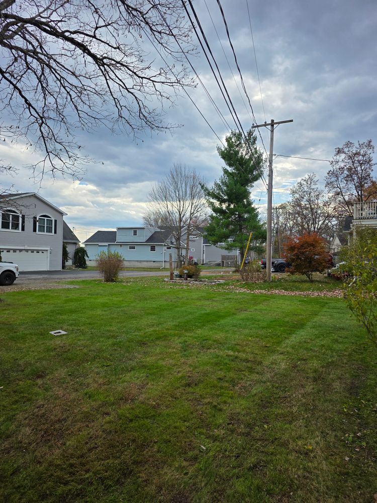 All Photos for Sweet Scapes in Ballston Spa, NY