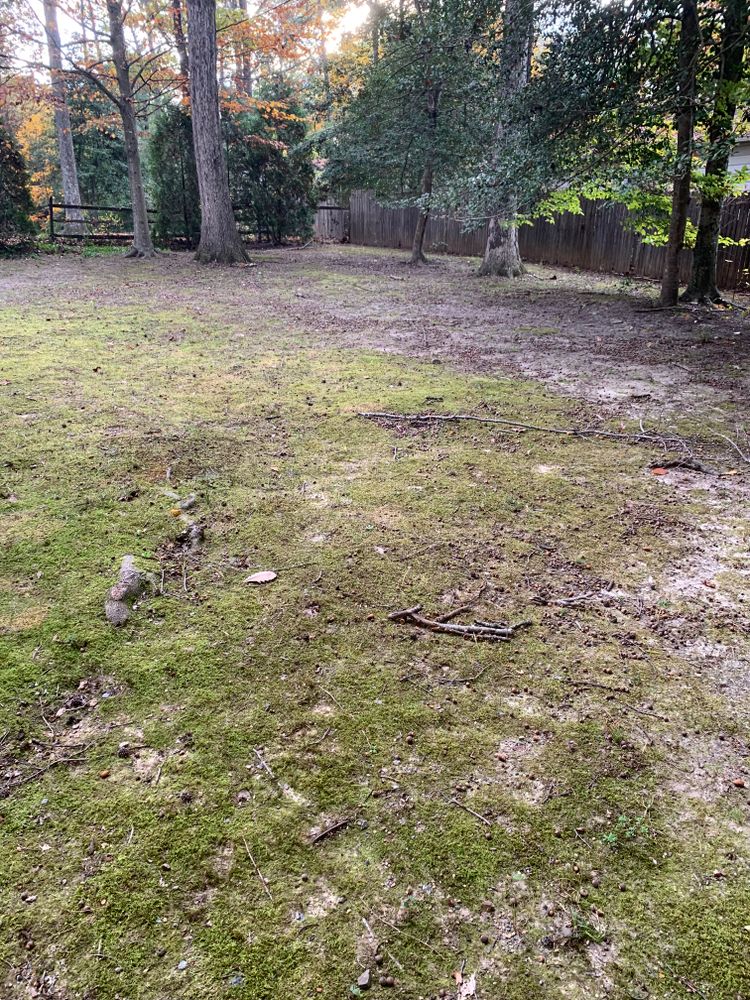 All Photos for Atlas Home Services in Mechanicsville, VA