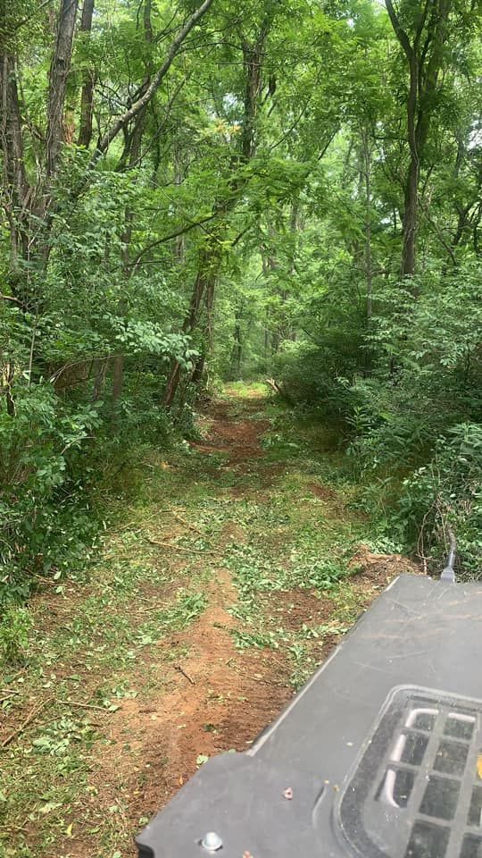 All Photos for Williamson Logging in Hardy, VA