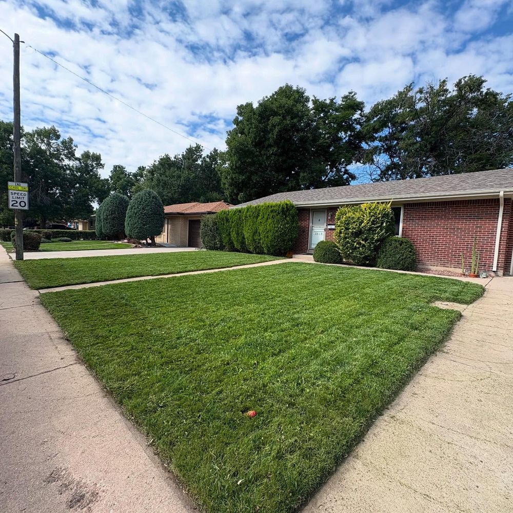 All Photos for Denver Bros Lawn Control in Denver, CO