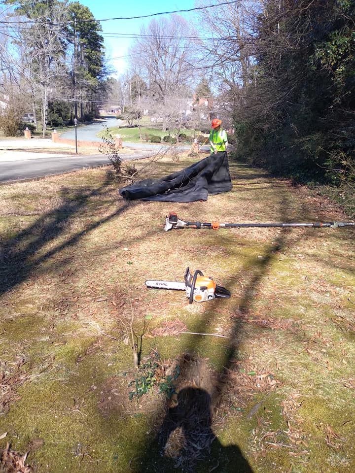 Tree Removal for Top Notch Lawn Care and Tree Removal in Mebane, NC