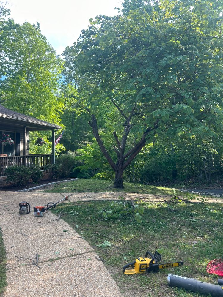 All Photos for The Whole 9 Yards Landscape VA in Heathsville, VA