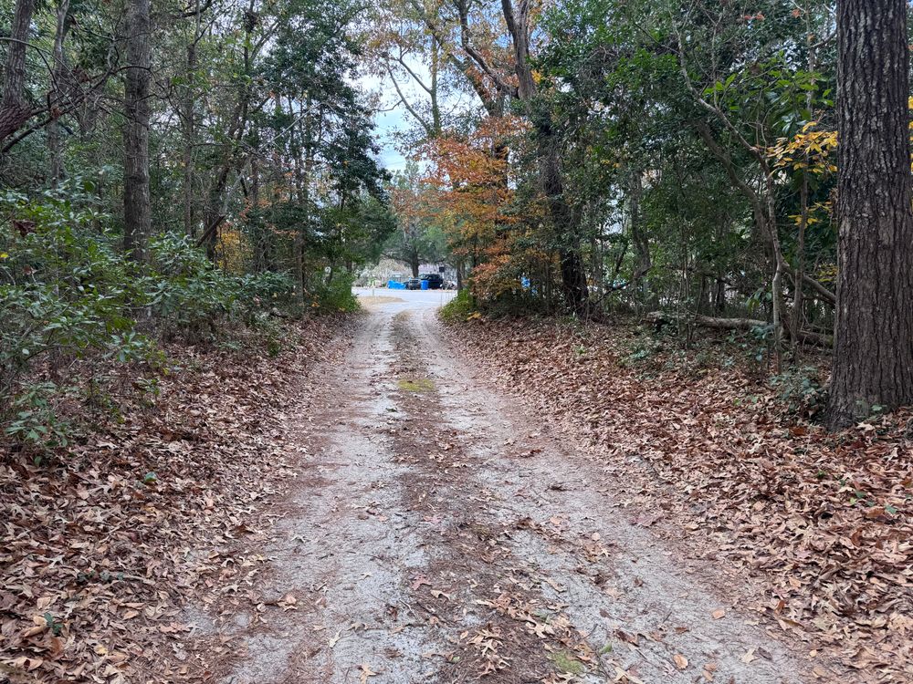 Brush Cutting for A&A Property Maintenance in Jacksonville, NC