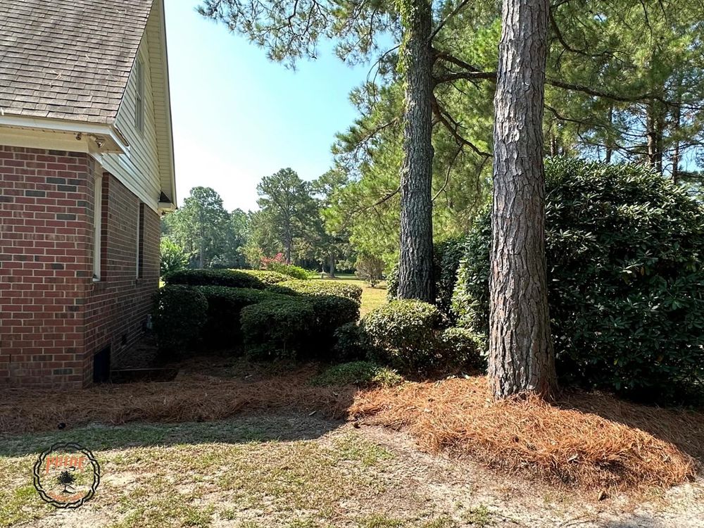 Lawn Care for Pride Lawn Care in Hope Mills, NC