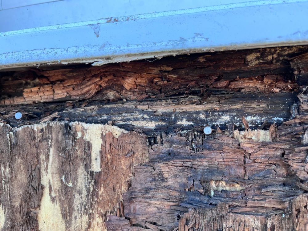 All Photos for Salt Side Construction in The Outer Banks, NC