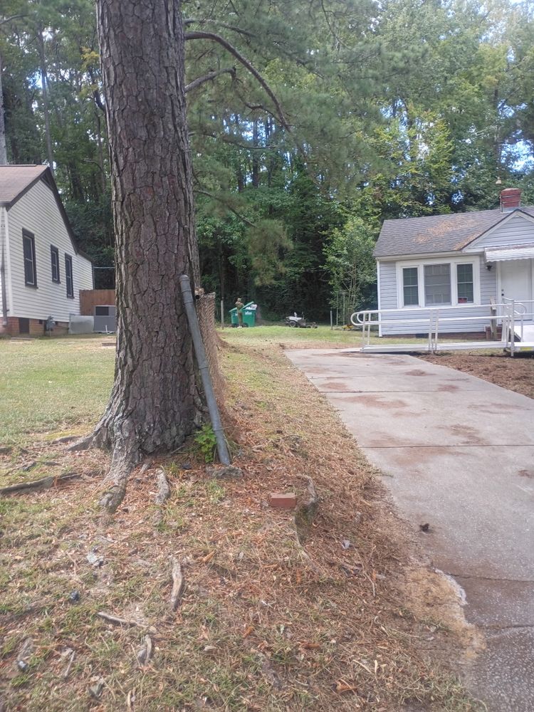 All Photos for Brothers On Point Lawn And Junk Removal in Wilson, NC