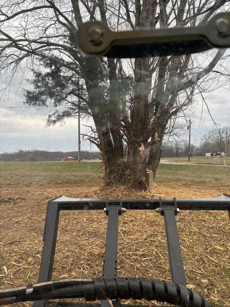 All Photos for Gregory Grass and Lawn in Lafayette, TN