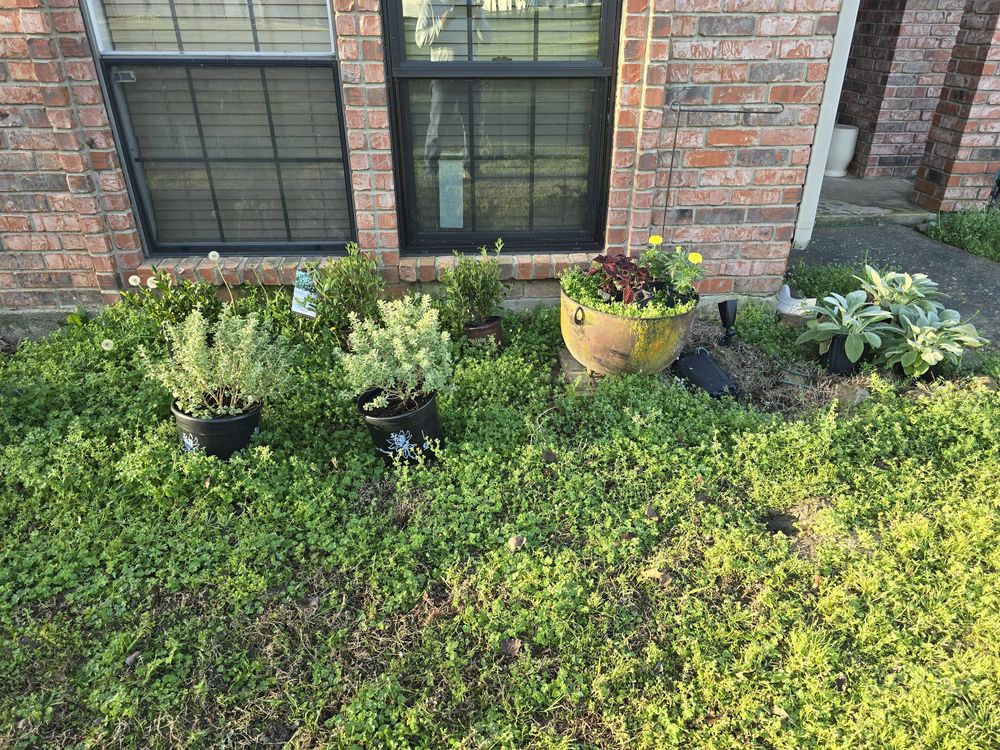 All Photos for Ornelas Lawn Service in Lone Oak, Texas