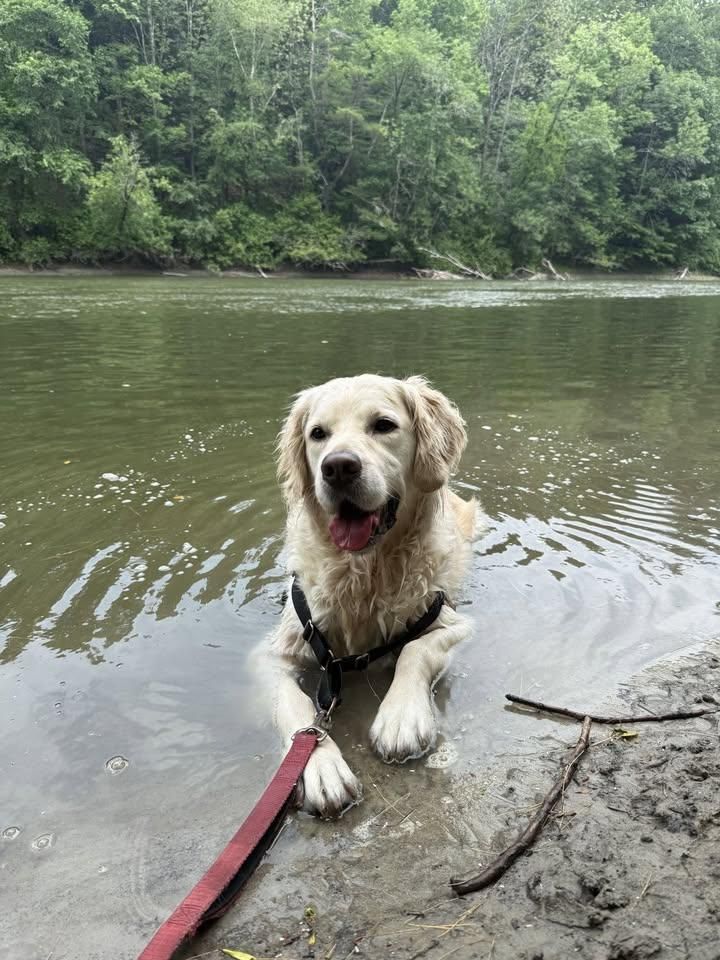 All Photos for Down Dog Yoga in Boston, MA
