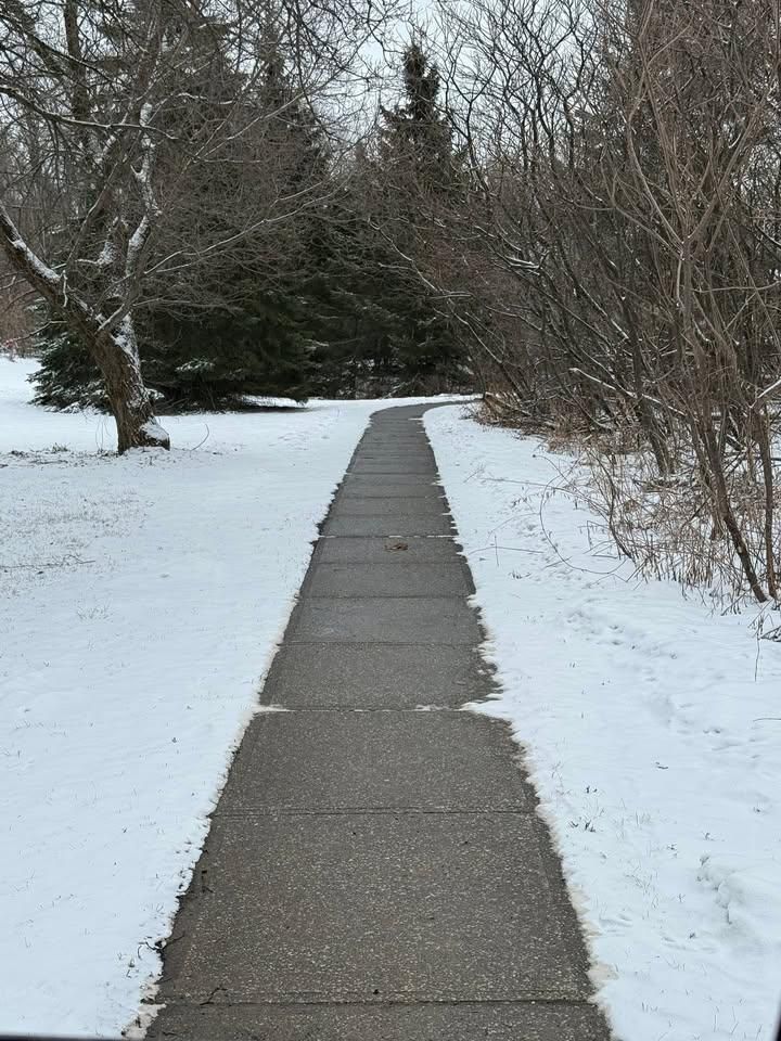 All Photos for Bishop’s Property Maintenance in Franklin, VT