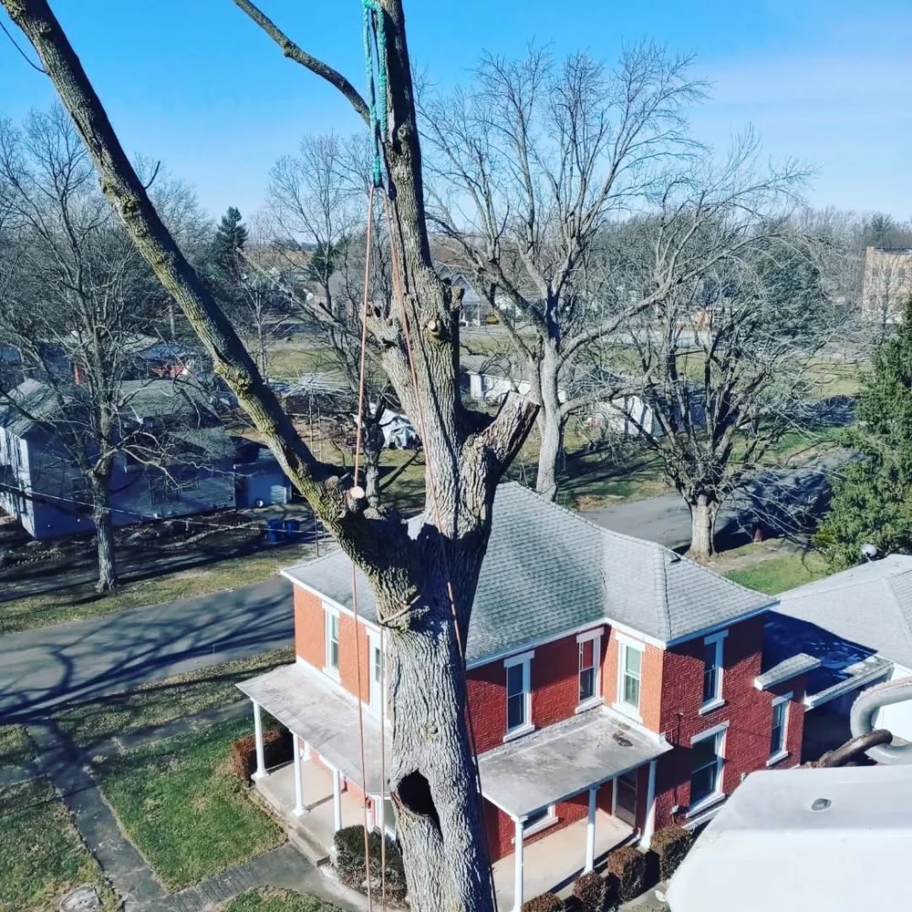 Tree Removal for Highborn Tree Service in Wheatfield, IN