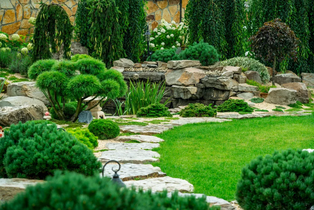 All Photos for Green Ventures Landscaping in Williamson County, TN