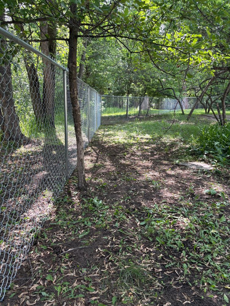 All Photos for BRO Property Services in Bemidji, MN