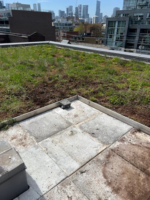 All Photos for Triumph Inc - Repair & Maintenance in Scarborough, ON