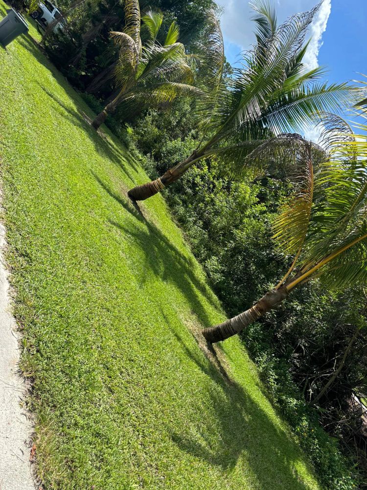 Mowing for Madissons Green in West Palm Beach ,   FL