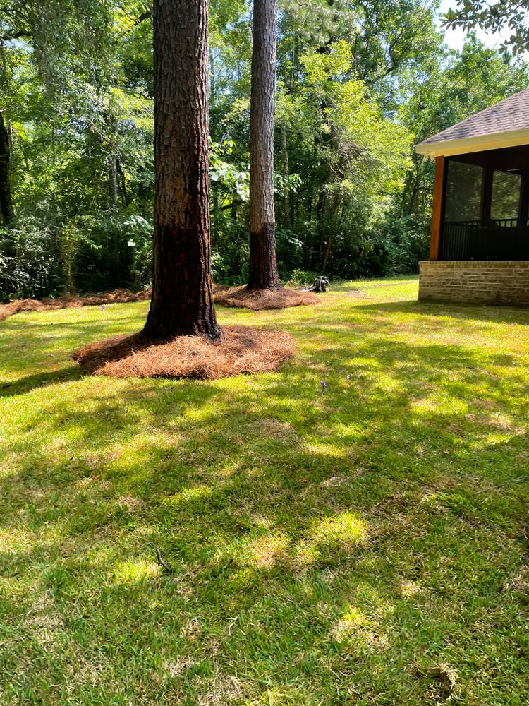 All Photos for Enhanced Landscape in Daphne, AL