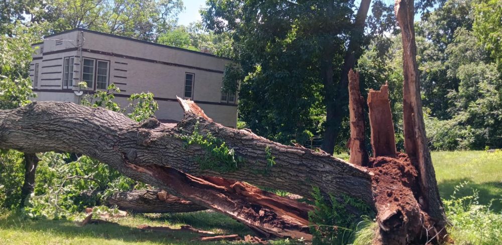 All Photos for Lawn Ranger Yard And Tree Service LLC in Ottumwa, IA