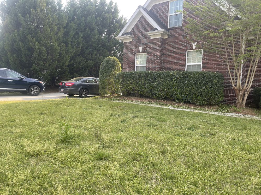 Lawn Care for Aries Lawnscapes in Atlanta, GA