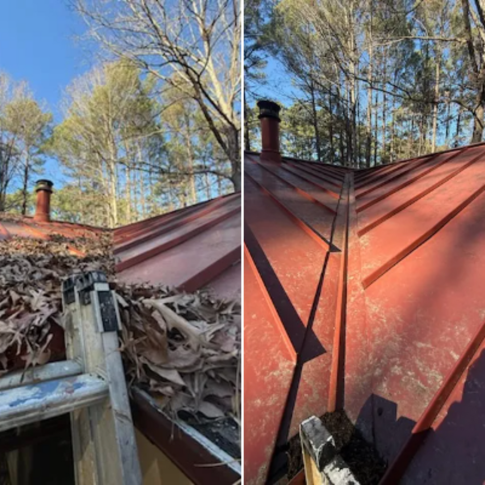 All Photos for Healthy Roots Landscaping in Apex, NC