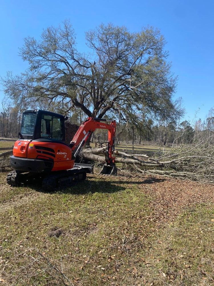 Our Tree & Shrub Care service ensures the health and beauty of your outdoor spaces through expert pruning, disease control, and nourishment, enhancing the longevity and appeal of your landscape. for T&S Land Management Services in Springfield, GA