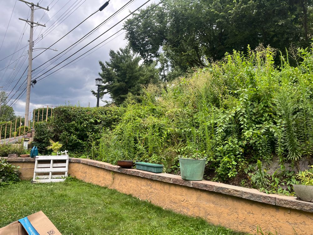 All Photos for Tr3s Brothers Creations Landscaping in Pittsburgh, PA