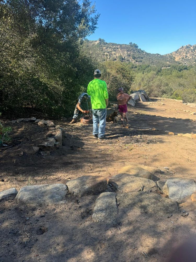 All Photos for The Tree Fairy in Julian, CA