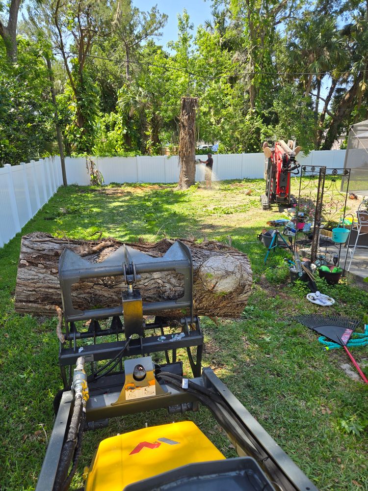 Tree Removal for Near Me Tree Service, Inc. in DeLand, FL