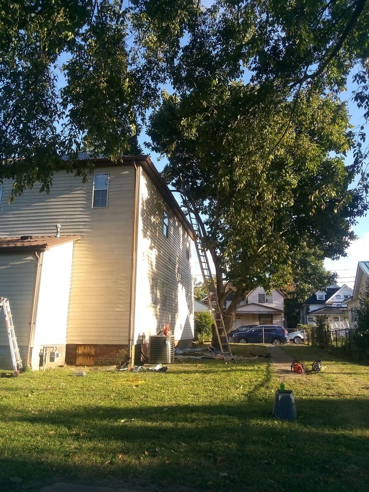 Hayes Tree And HandyMan Services LLC team in ,  - people or person