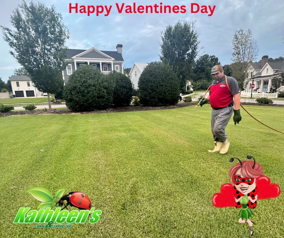 All Photos for Kathleen's Lawn & Shrub Care in Augusta, GA